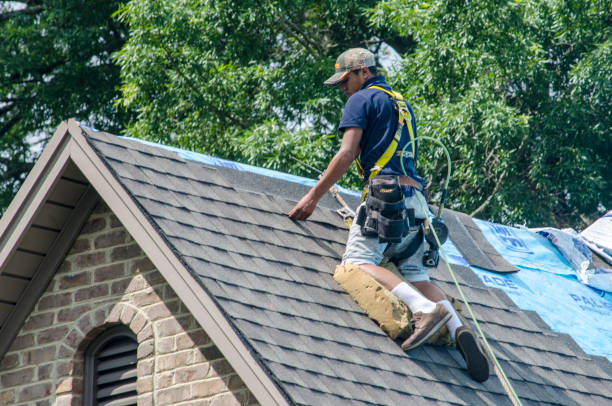 Best Storm Damage Roof Repair  in Hardeeville, SC